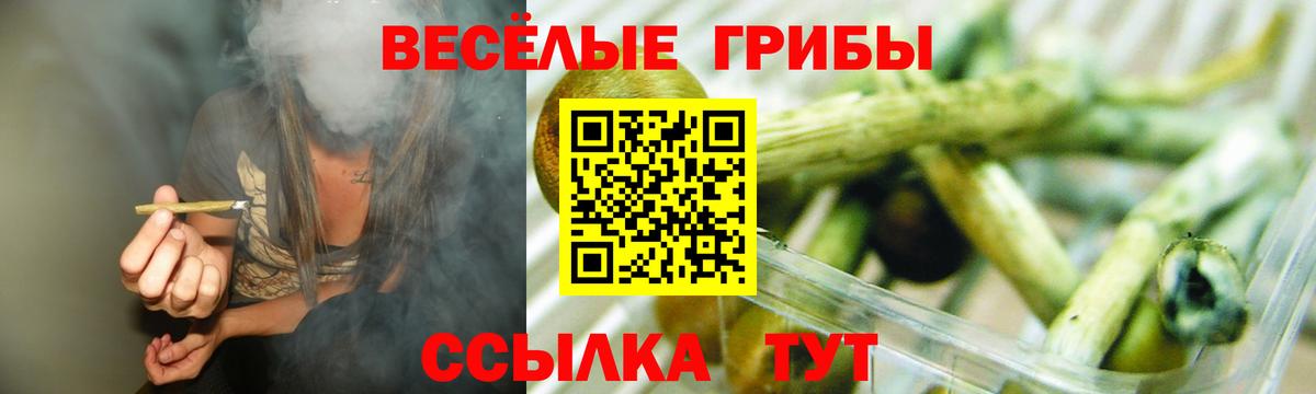 Анжеро-Судженск  Галлюциногенные грибы MAGIC MUSHROOMS  Галлюциногенные грибы ЛСД  Вход с VPN 