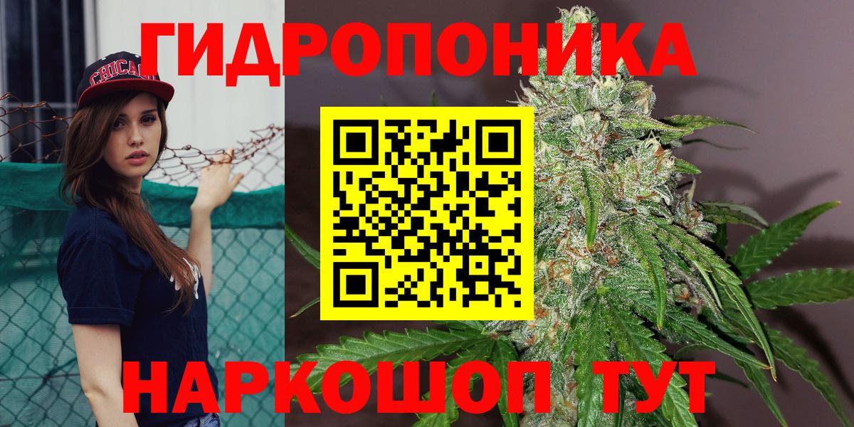 Бошки марихуана Bruce Banner  Вход с VPN  МАРИХУАНА марихуана  Анжеро-Судженск 